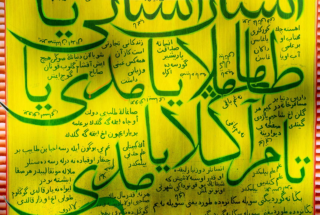 Insan