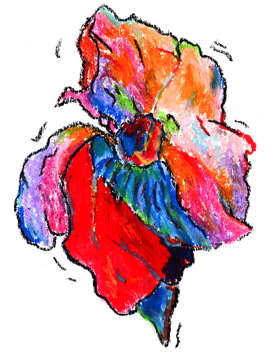 drawings